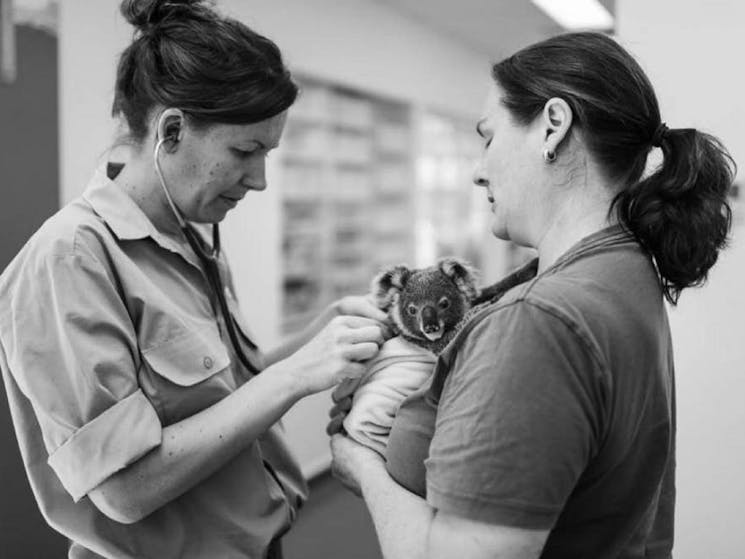 Koala Care Centre