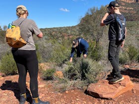 Rehanna showing a mother and son a Plant and discussing the importance of the plant.