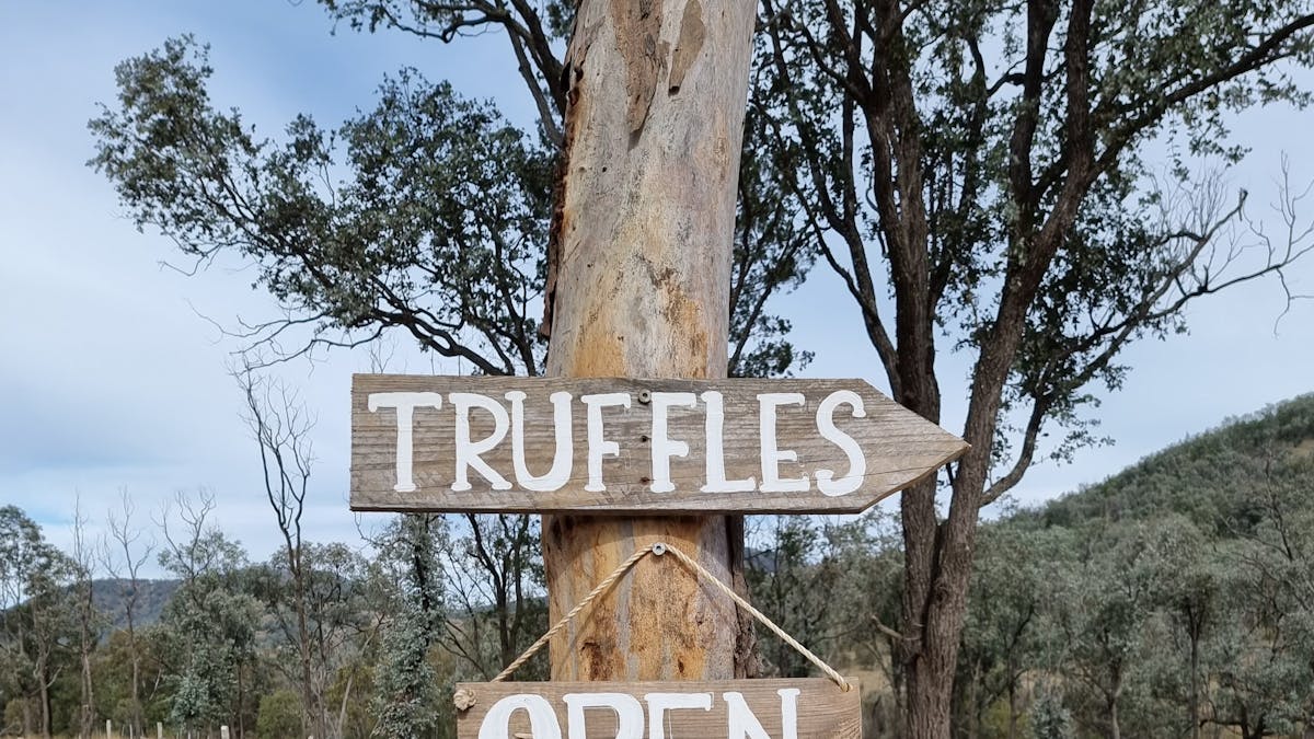 open sign