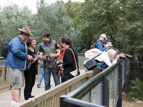 Photography tour group at the Zoo