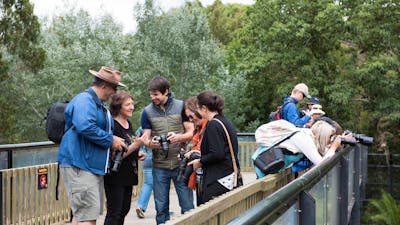 Photography tour group at the Zoo