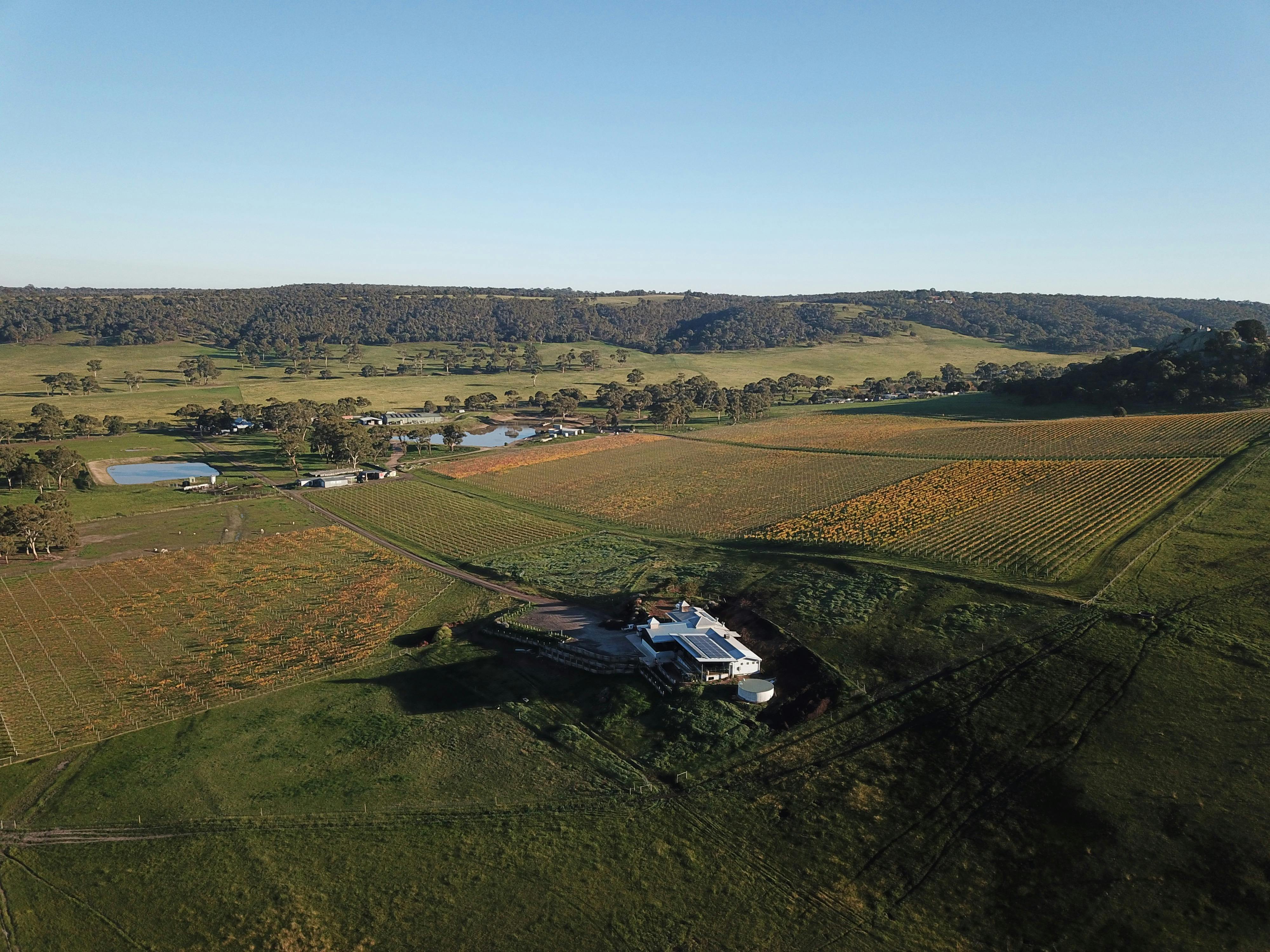 Aerial view of the estate