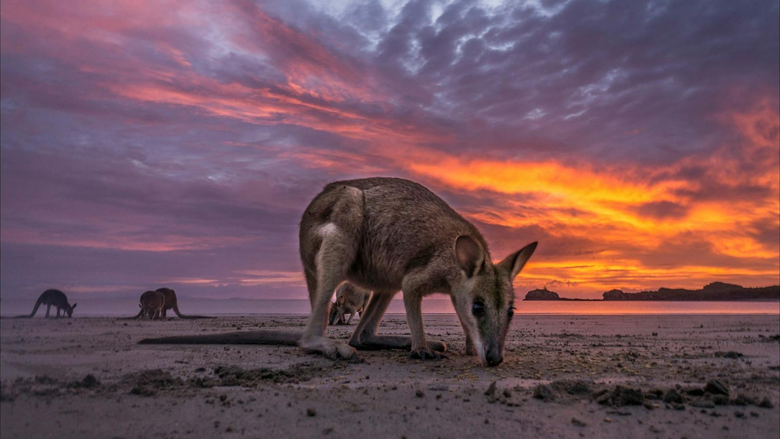 How to holiday on The Hibiscus Coast with your family
