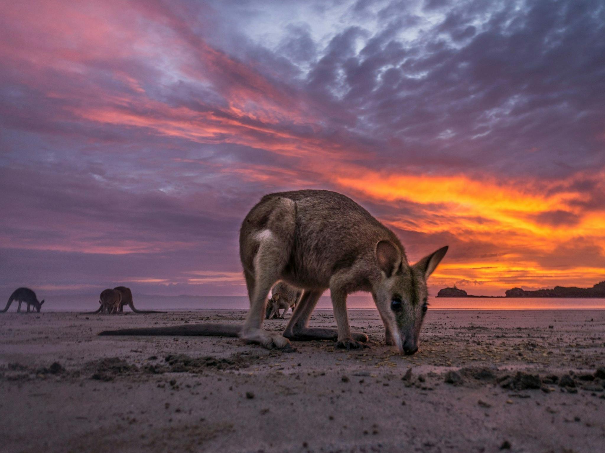 How to holiday on The Hibiscus Coast with your family