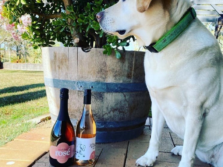 Dog and Wine