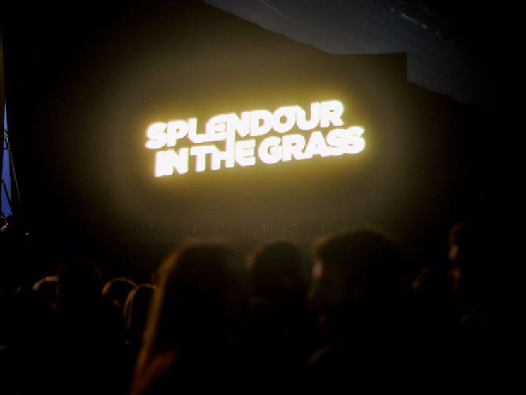 Splendour in the Grass