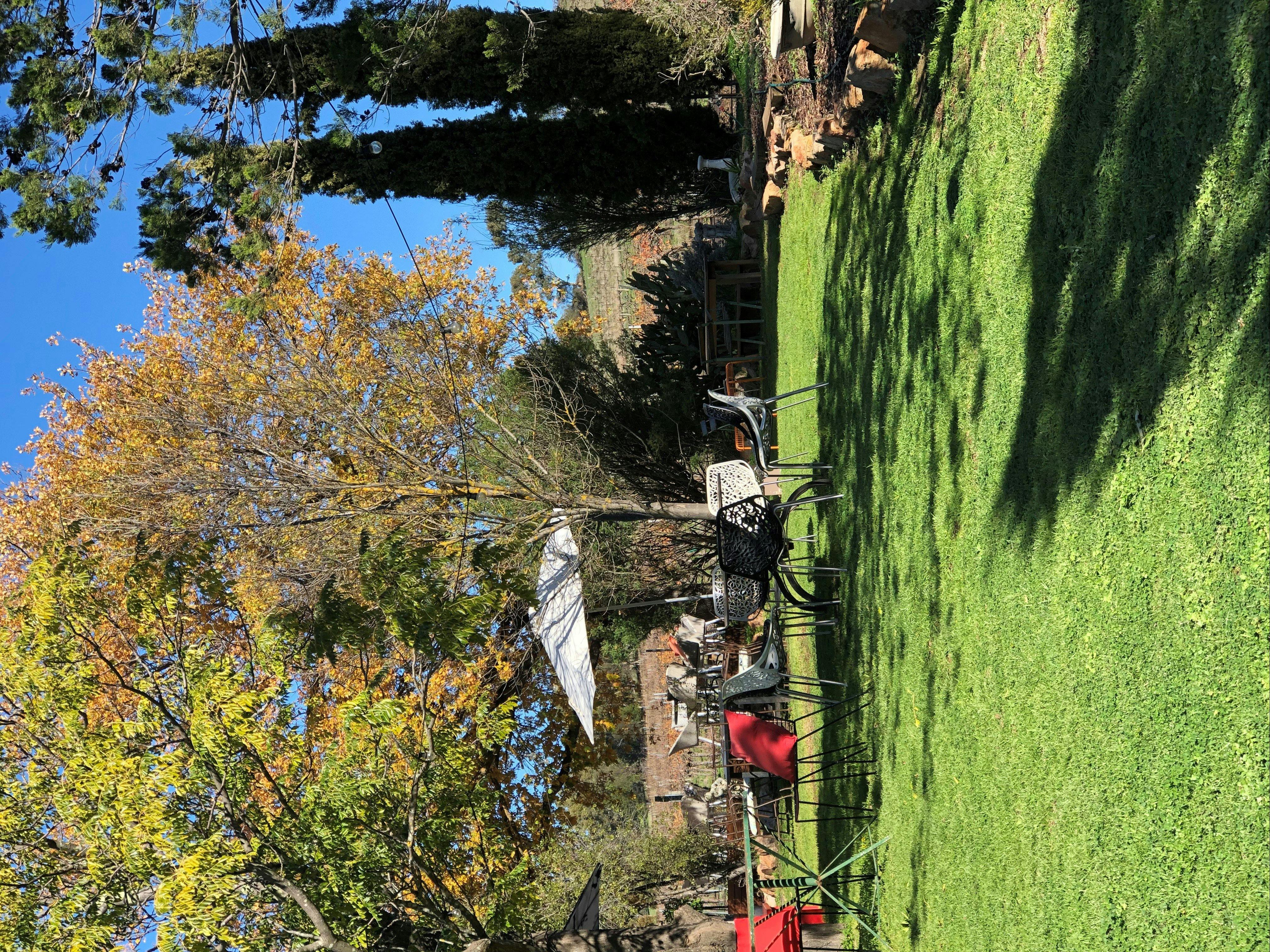 Bliss Garden