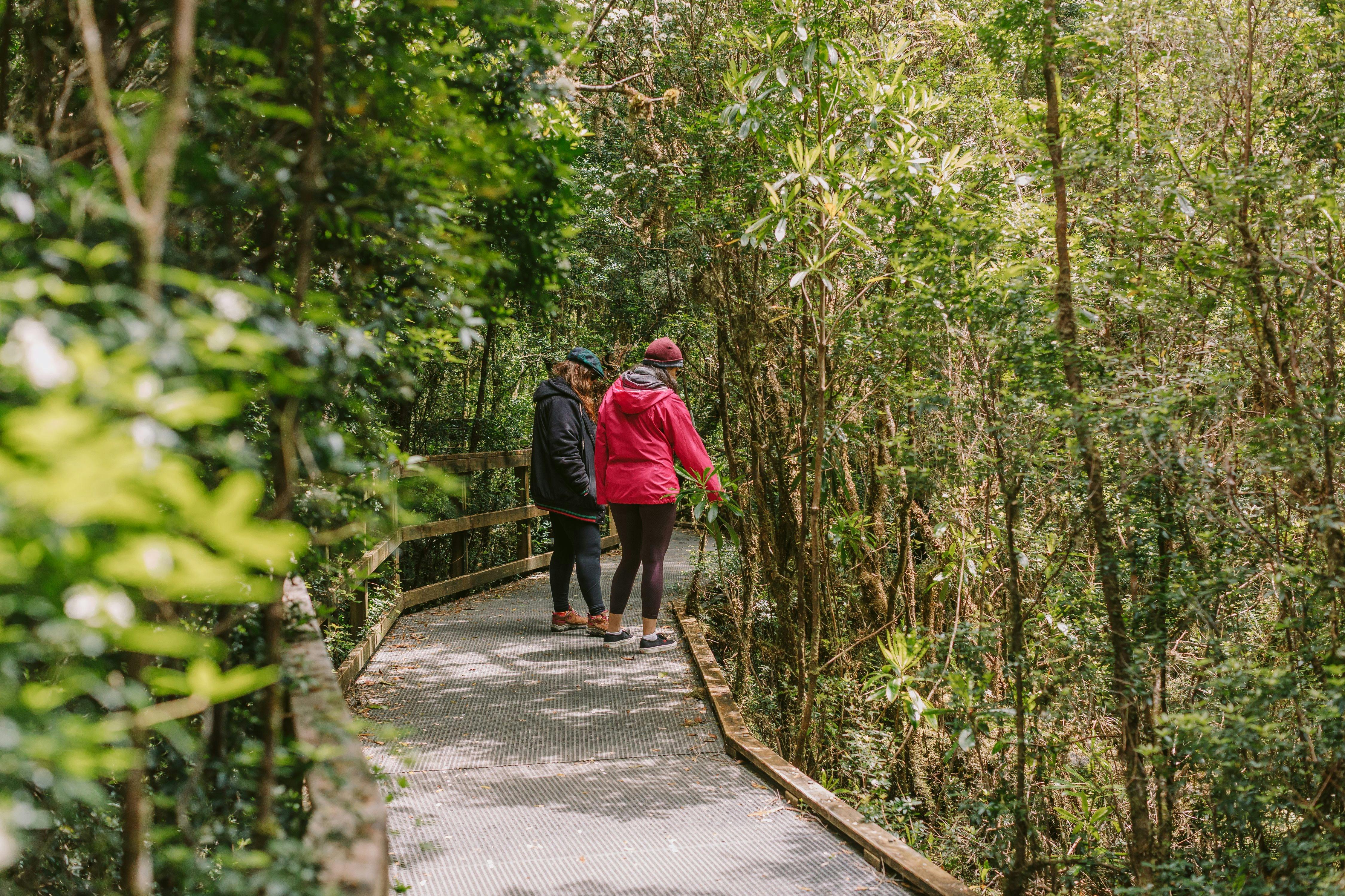 2 people on a boardwalk in the rainforest