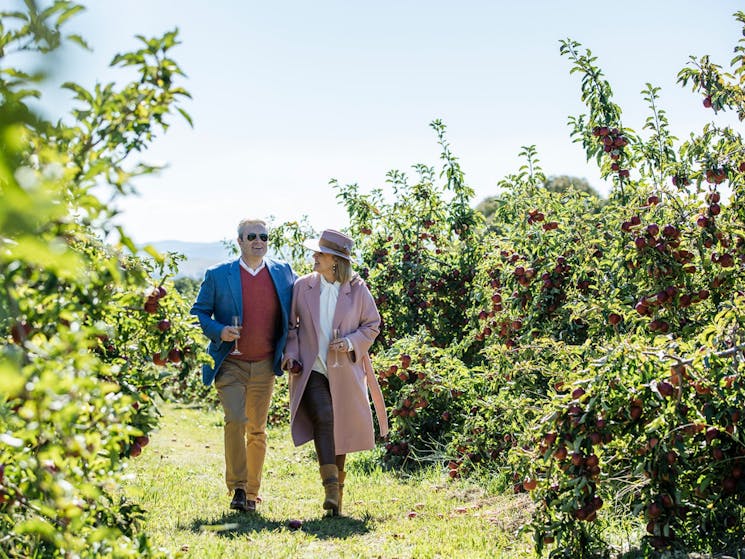 Couple walking through an apple orchard