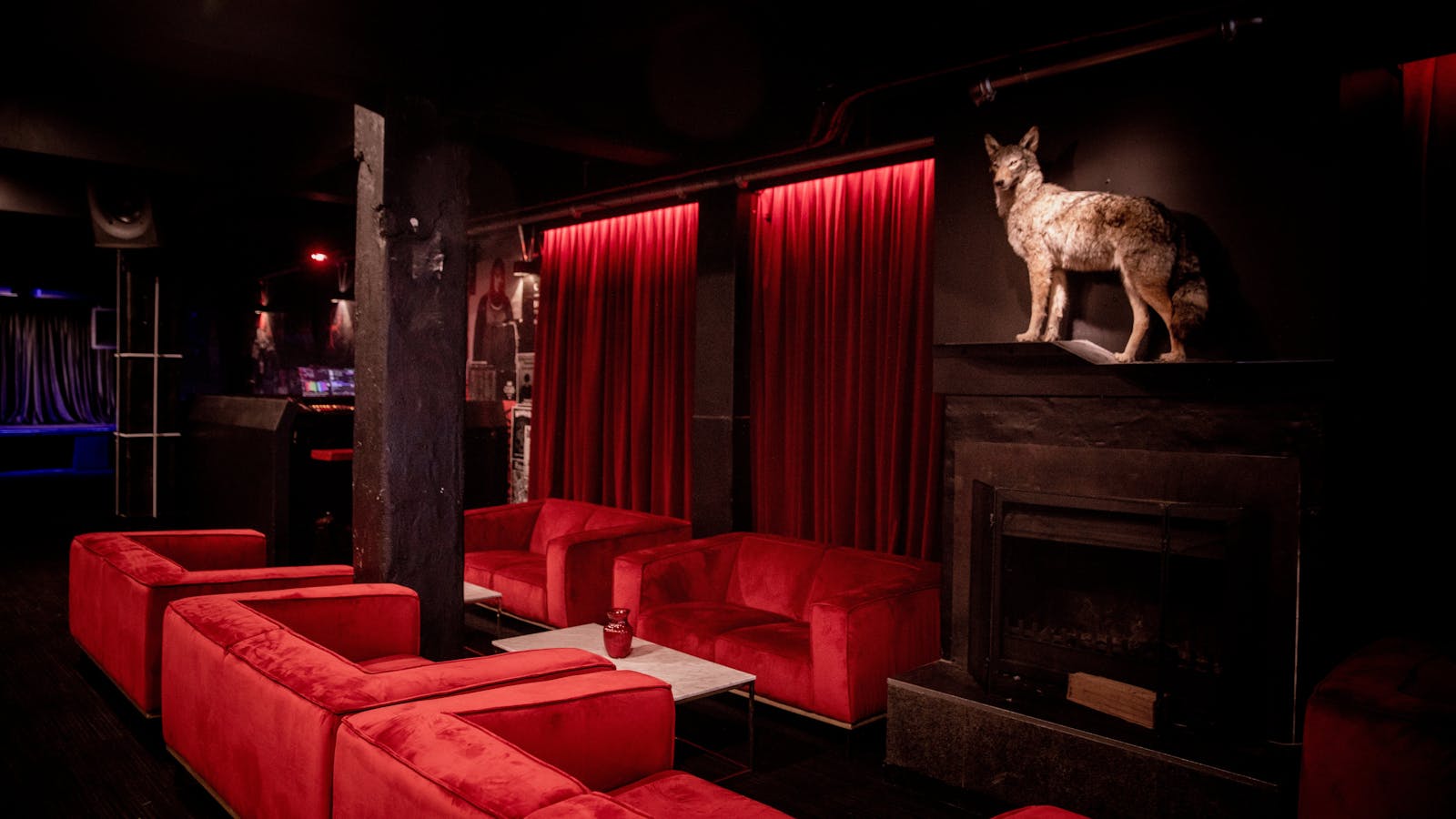 Altar's taxidermy coyote mascot stands above the open fire in the lounge bar