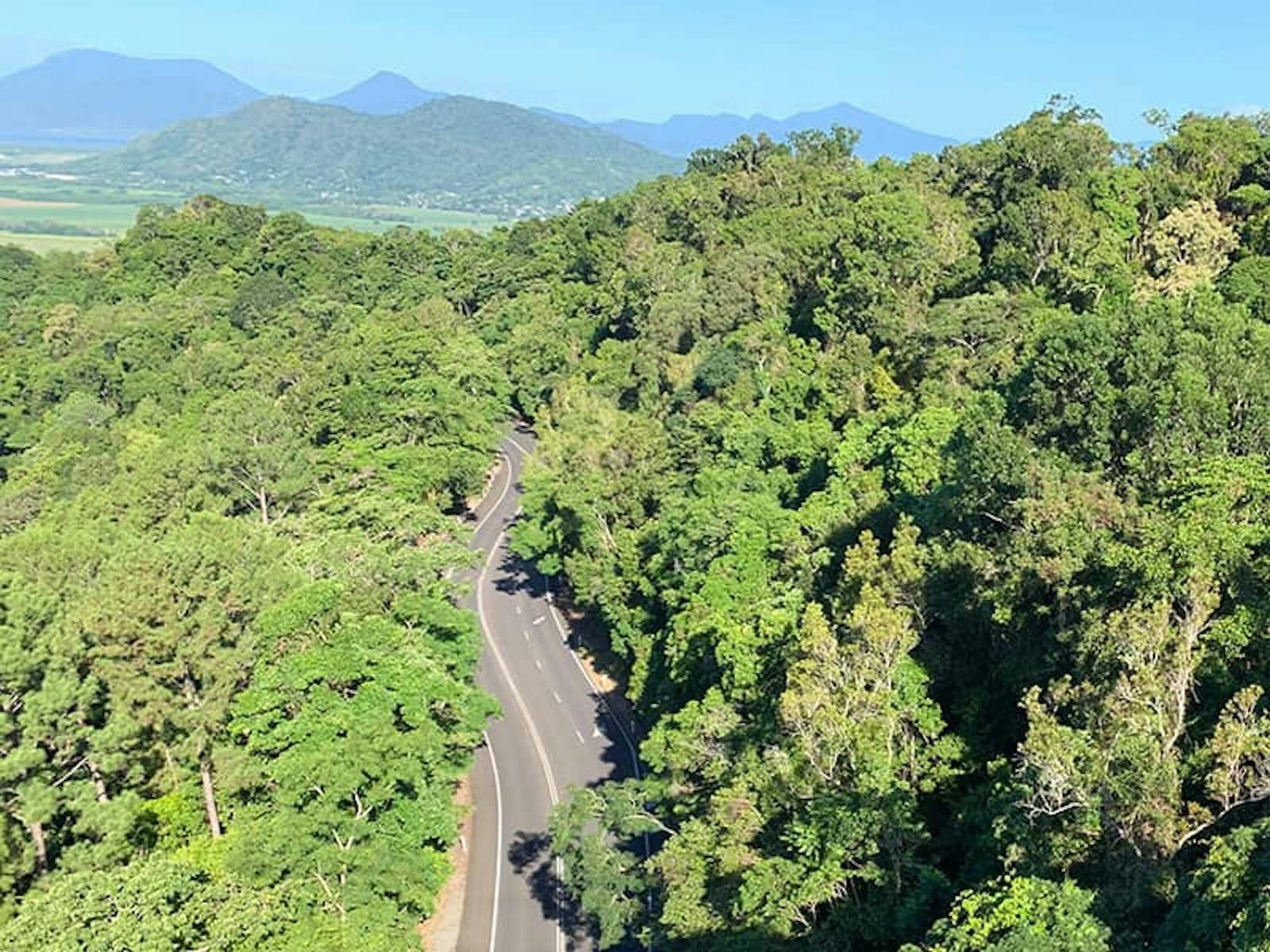 Forest and Waterfalls Half-day 4WD Adventure