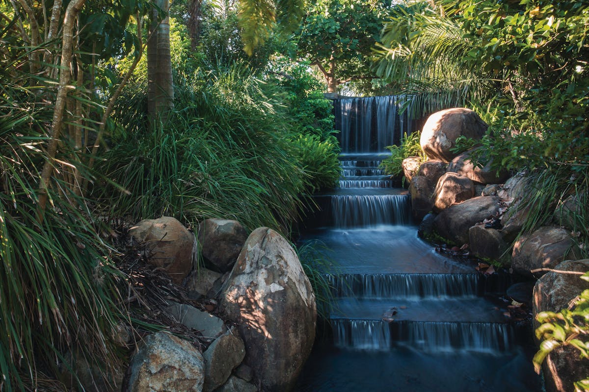 Mackay Regional Botanic Gardens