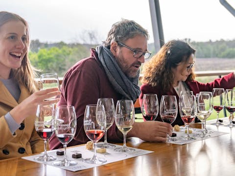 Award-Winning Hunter Valley Wine Tour from Sydney