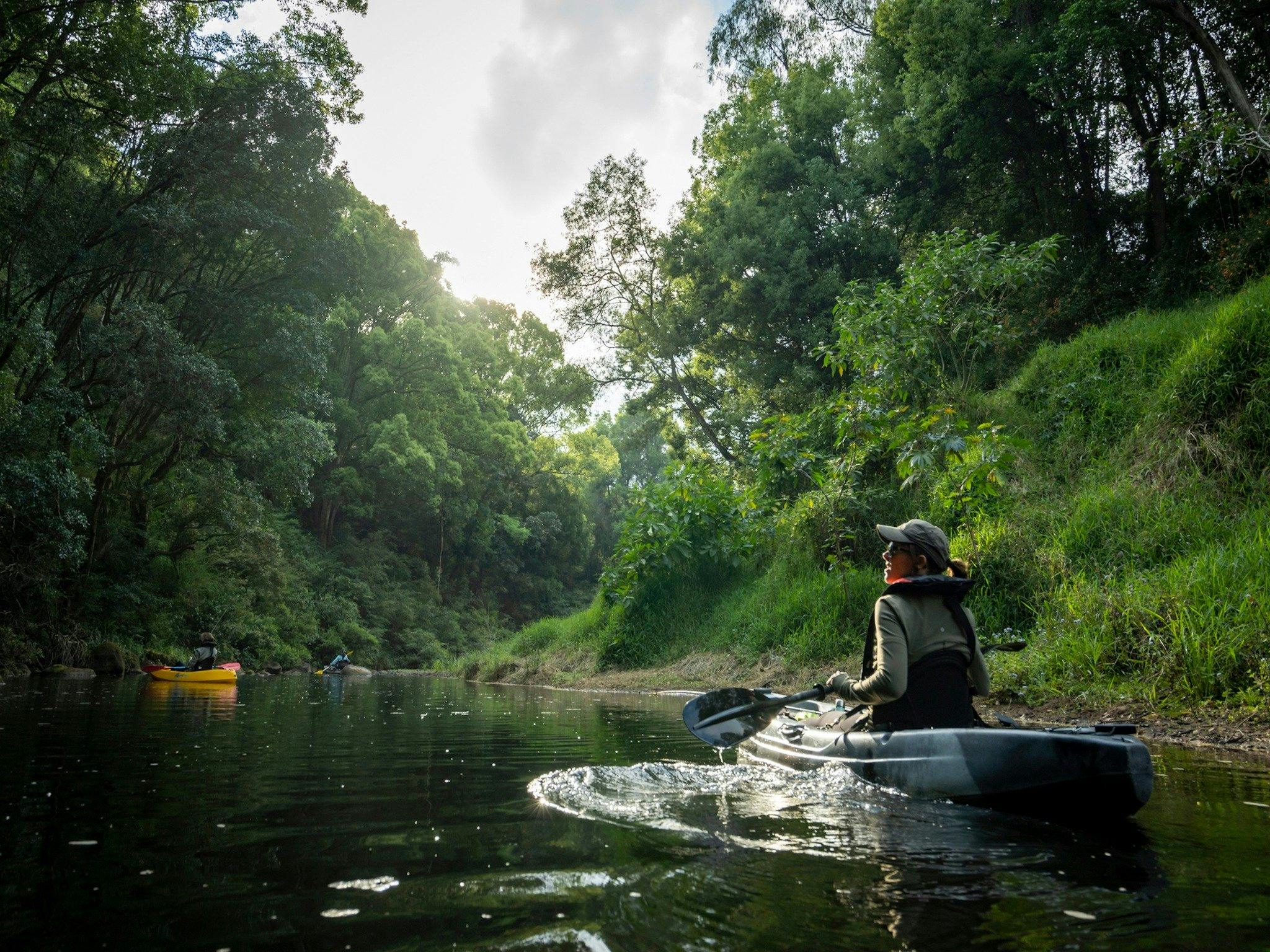 Byron Bay Rainforest Fishing NSW Holidays & Things to