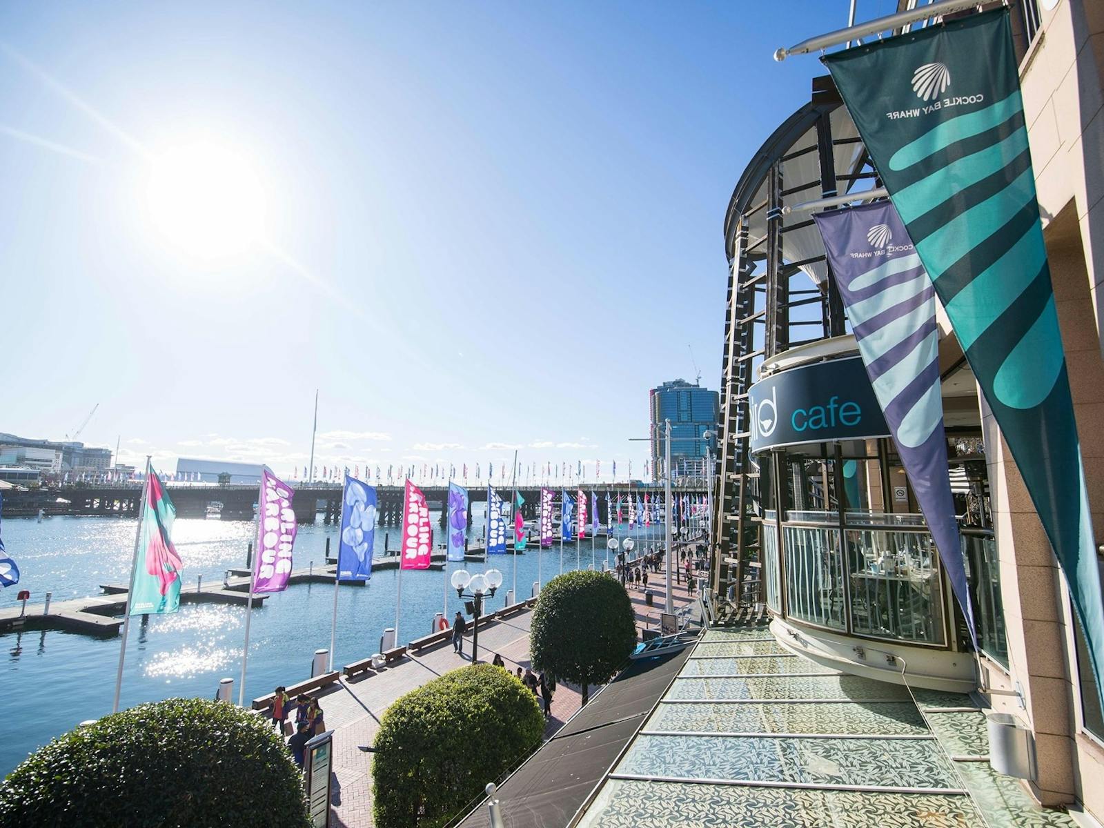 ブラックバード カフェ コックル ベイ