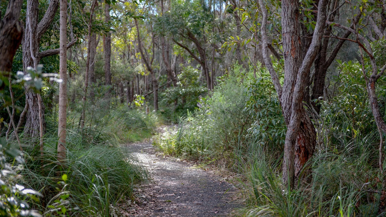 One Track for All Ulladulla
