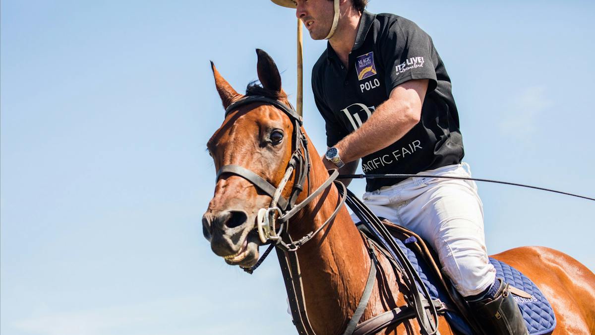 Magic Millions