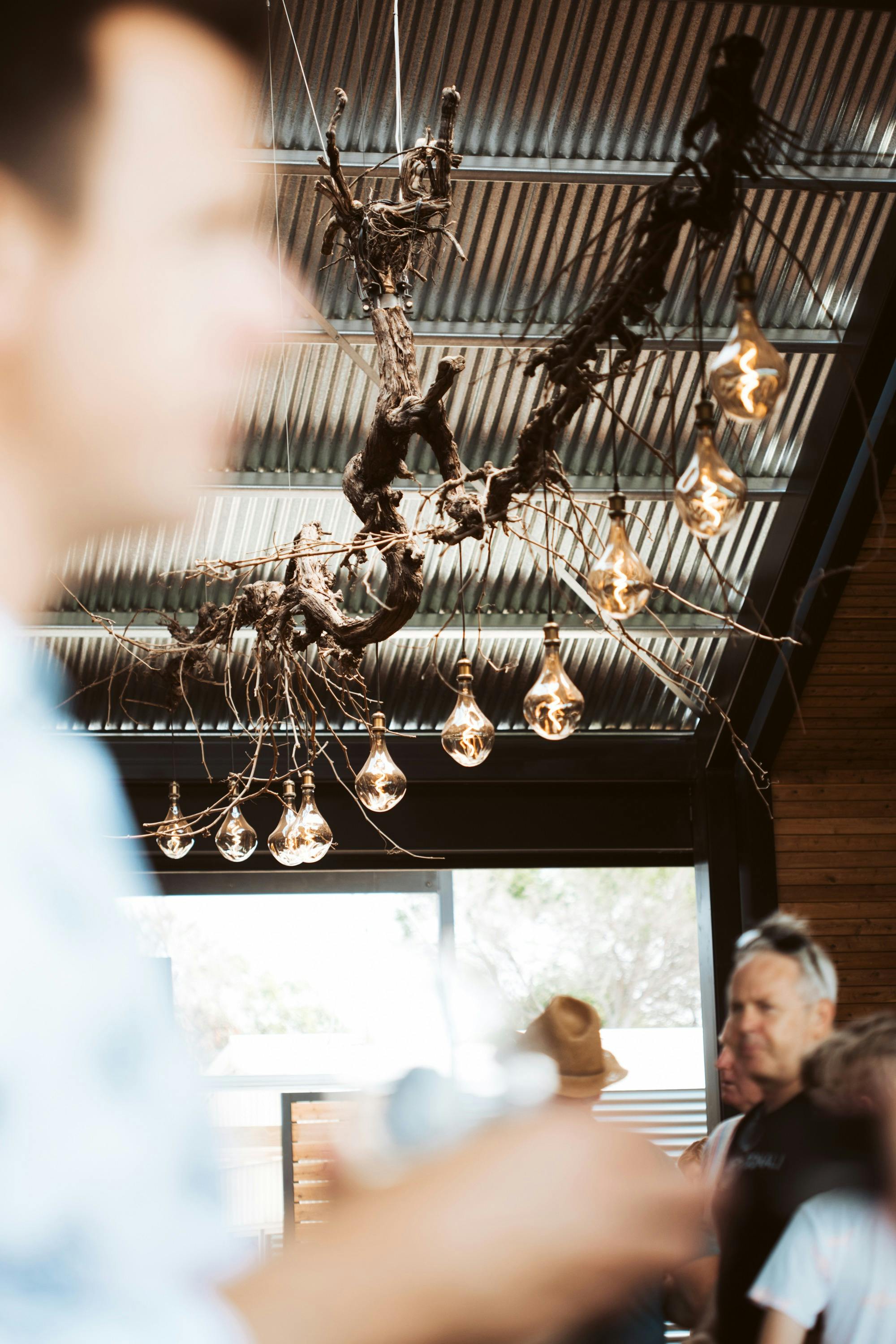 Chalk Hill Vine Light