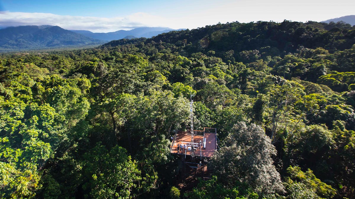 Daintree Discovery Centre