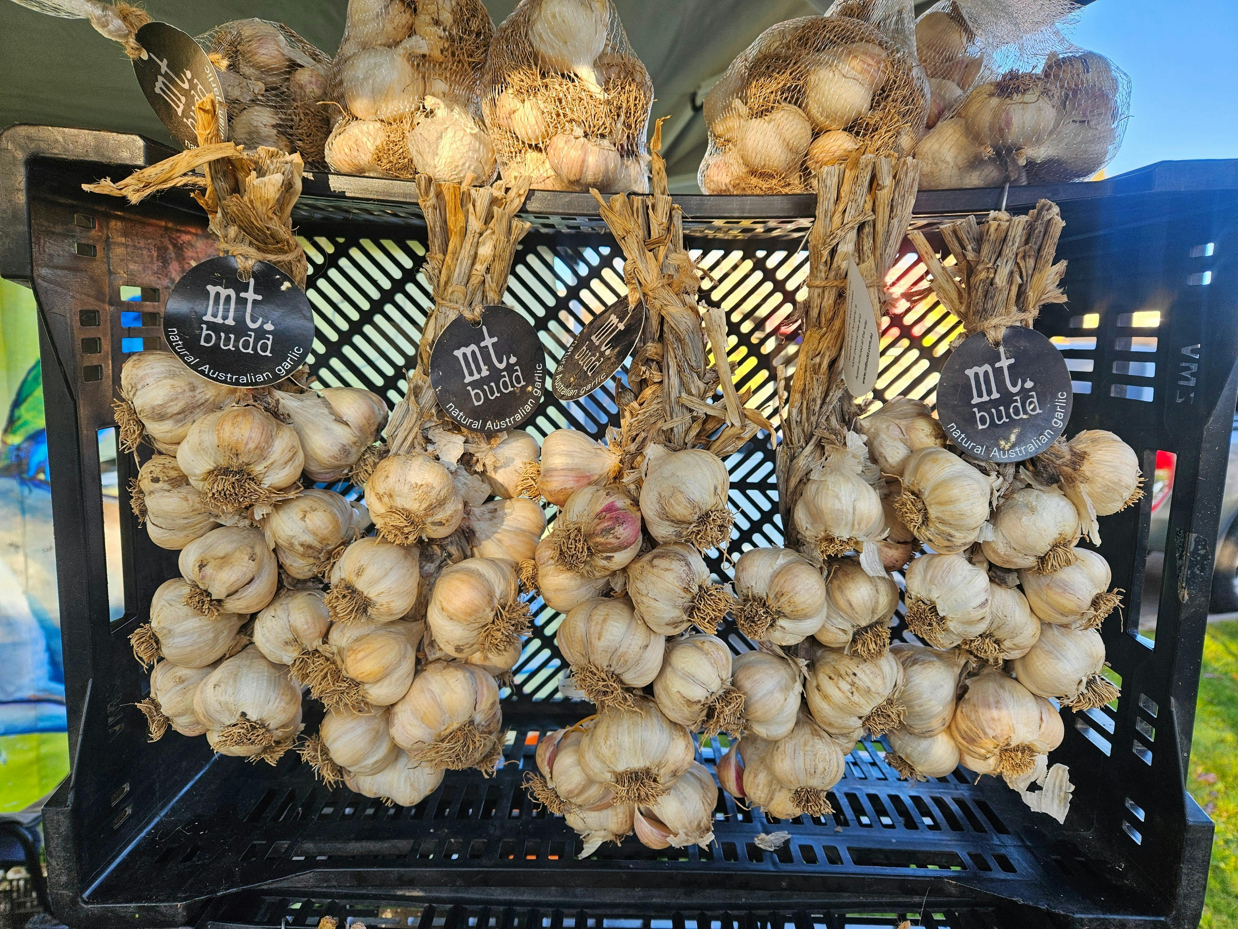 Organic garlic braids