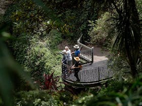 Aussie Camino - Peering into Caves Gardens Sinkhole/Thugi Mt Gambier