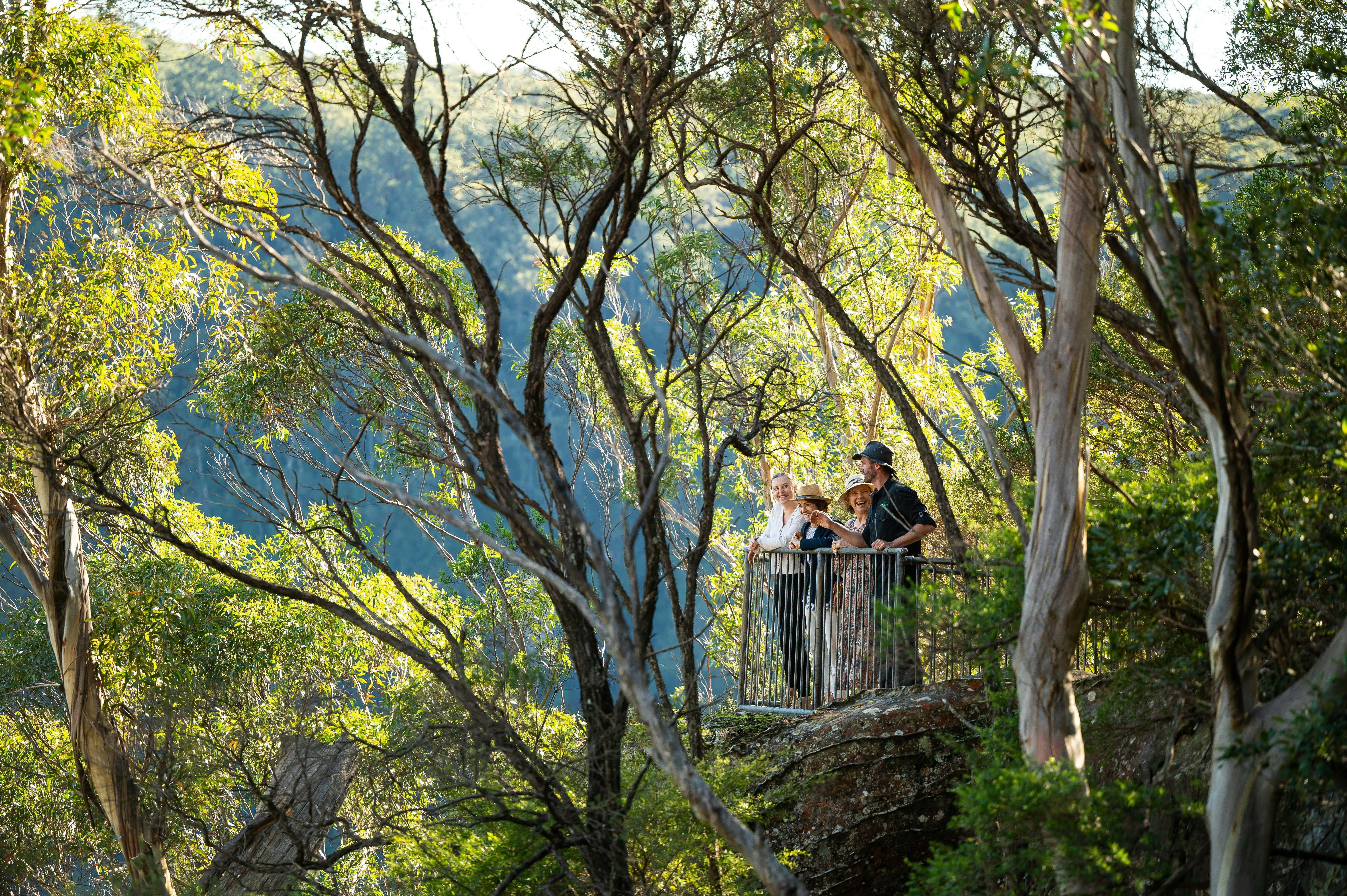 フォールズ・サザン・ハイランズ