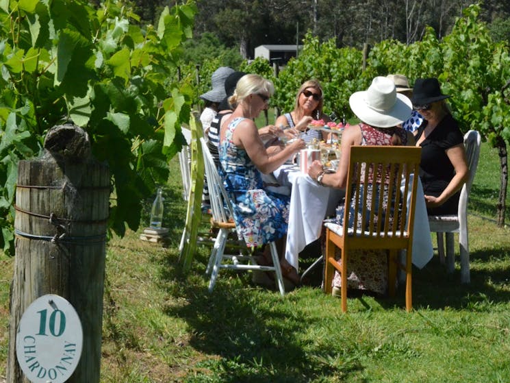 Ladies enjoying a High Tea in the Vines on a Kenny Escapes Winery Tour