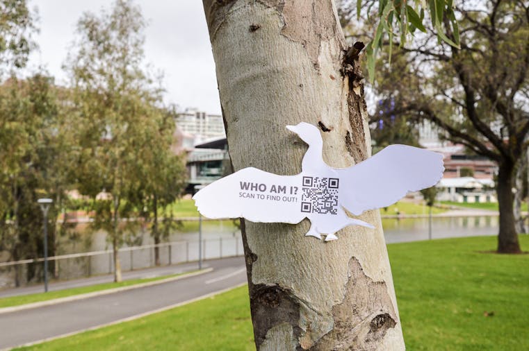 Bird Tags