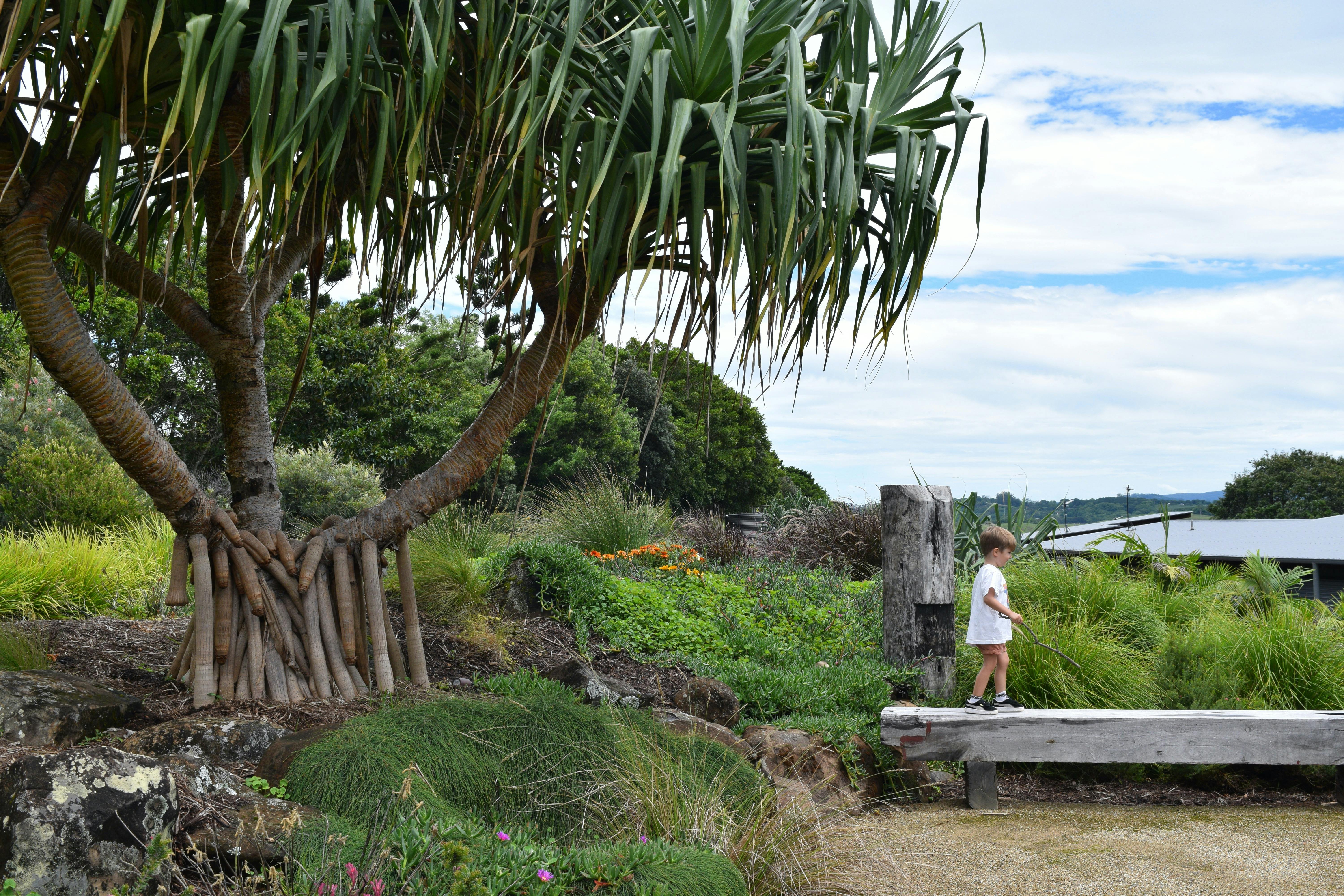 Nature's beauty at Carinya: wildlife and diverse flora.