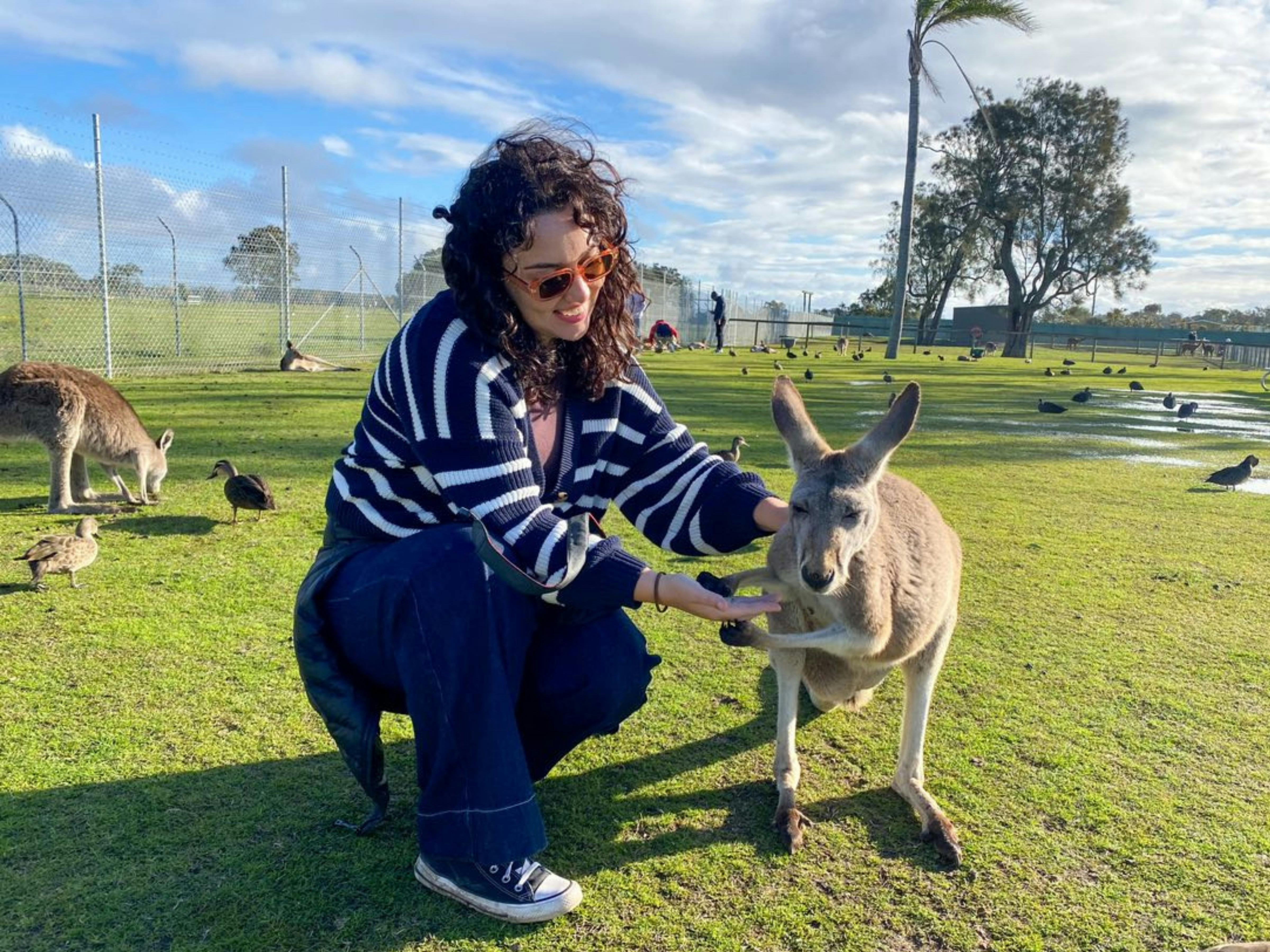 Animal Encounters