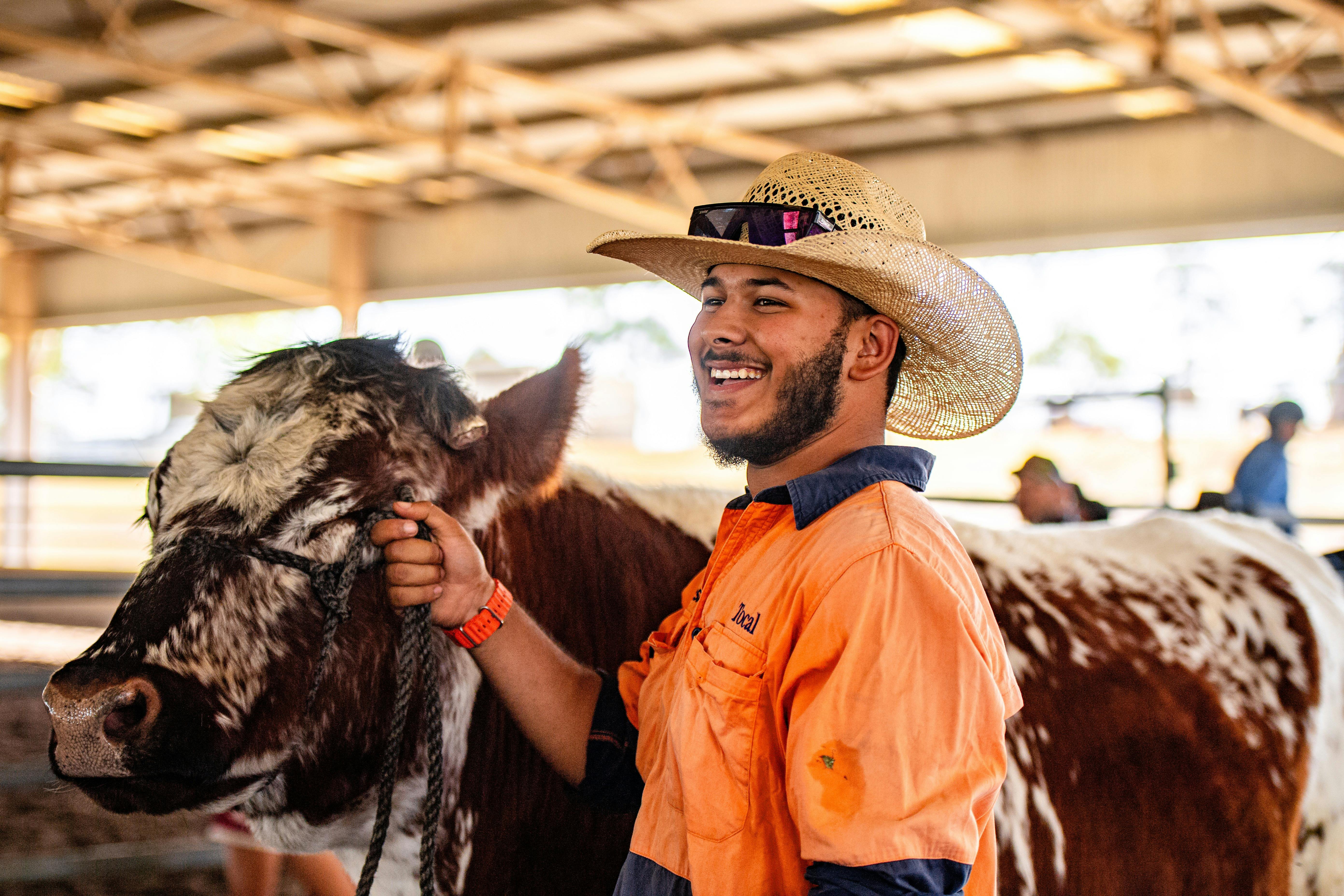 Frodo the steer at Tocal Field Days 2026