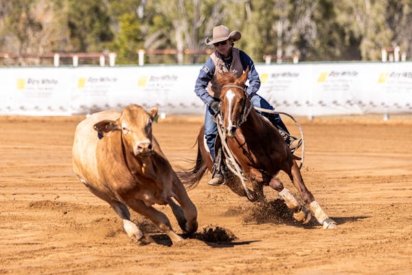 CQ Performance Horse Sale & Campdraft