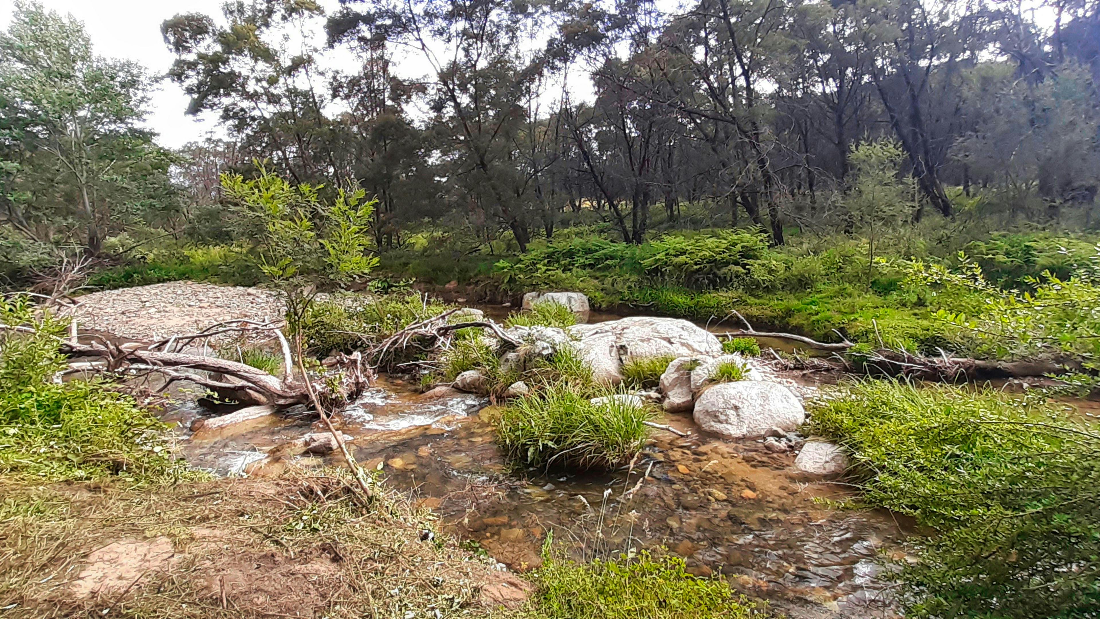 迷霧山野生動物保護區