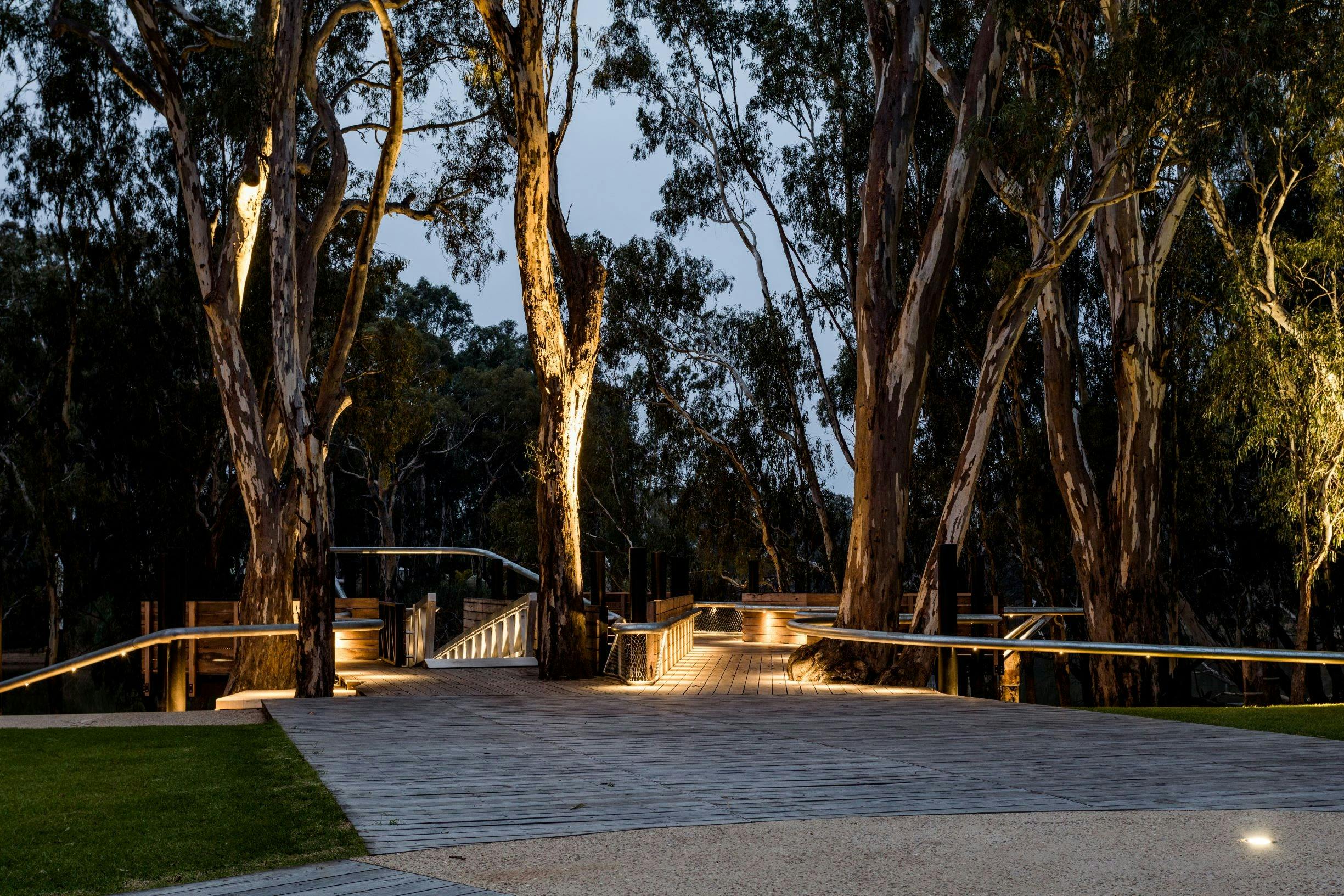 Koondrook wharf and towering river redgum tress at dusk