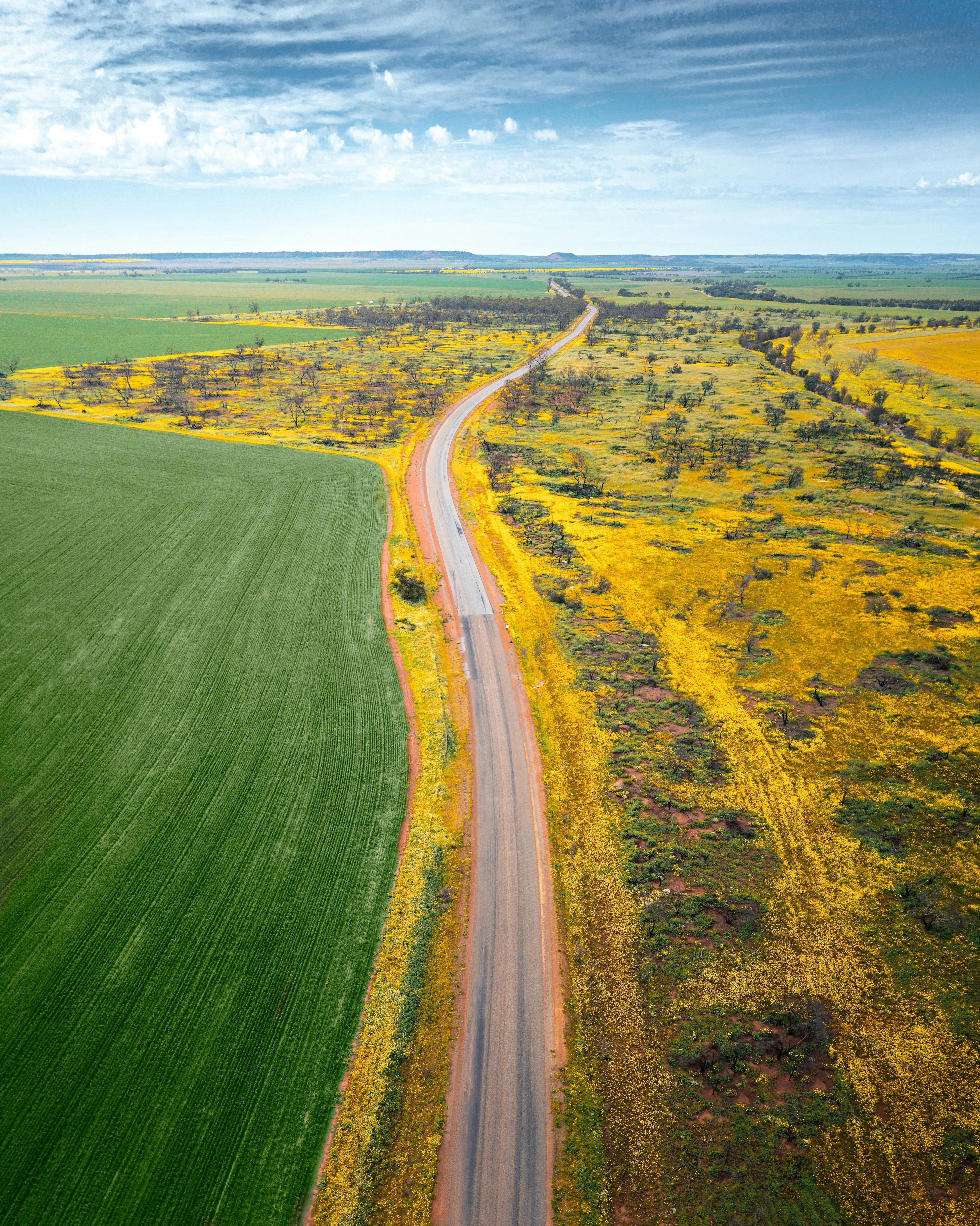 Wildflower tour in the Mid West with New Leaf Connect