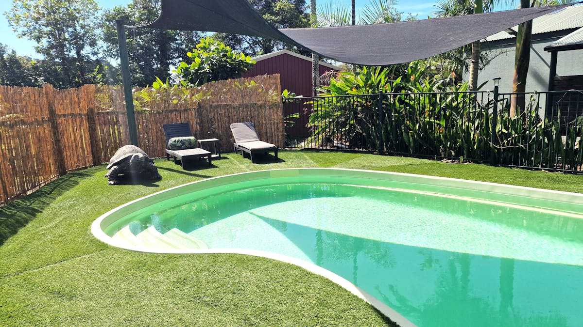 Rainforest Motel Pool