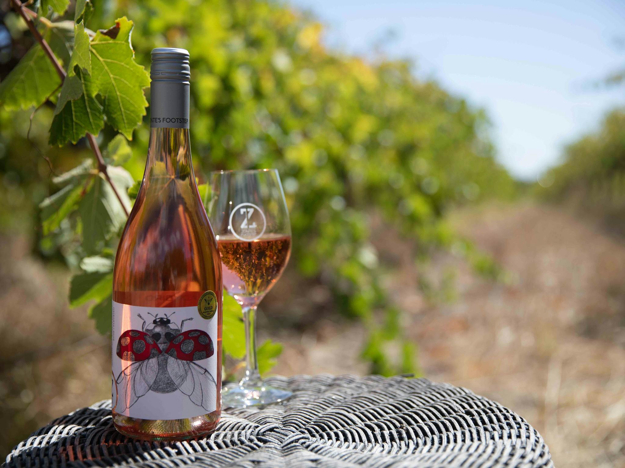 Scarlet Ladybird Rosé bottle with ladybird on label with a 150ml pour in glass in front of vineyard