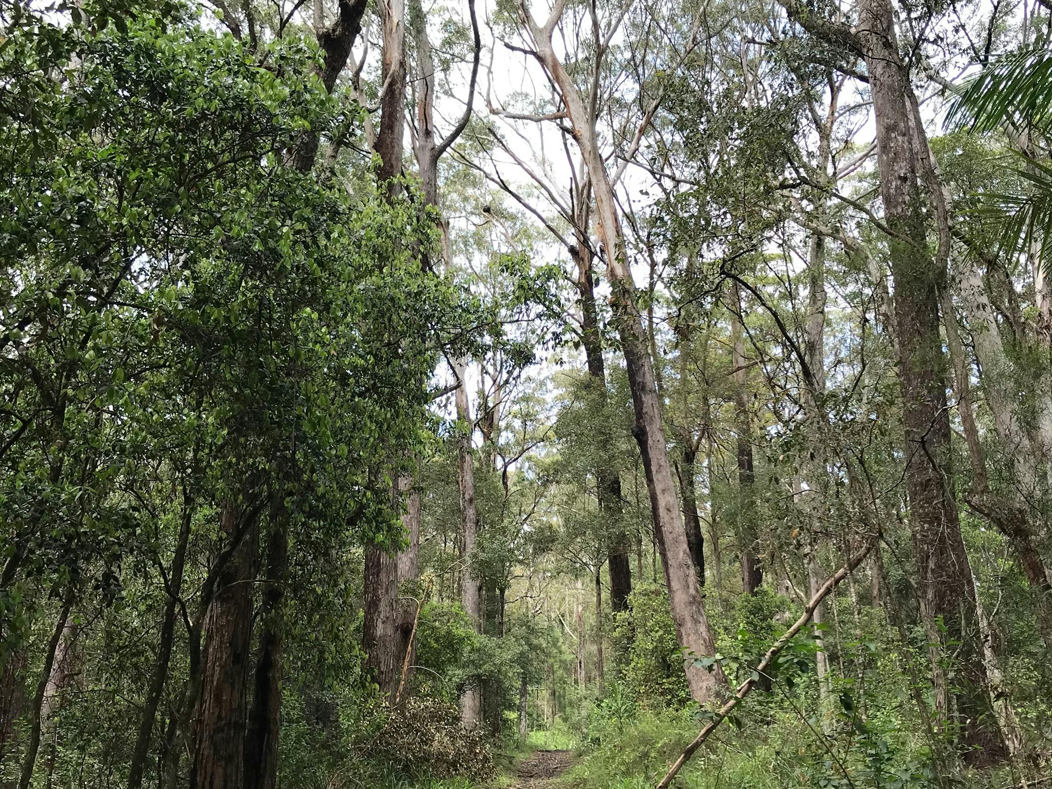 Uralba Nature Reserve