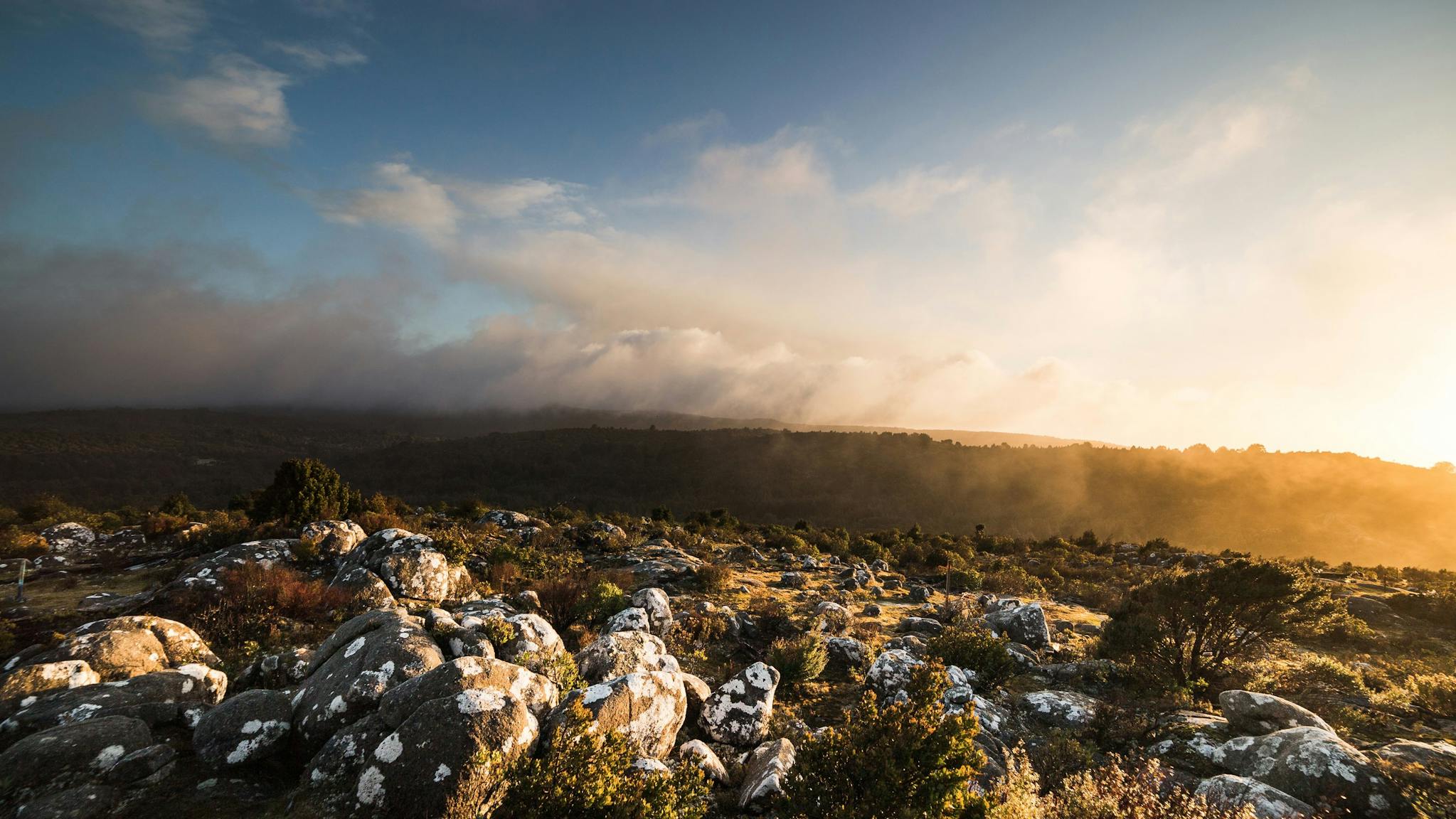 The Blue Tier Tasmania