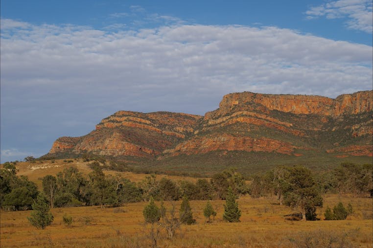 12 Half Day Gorges tour of the Flinders Ranges including IkaraFlinders Ranges National Park