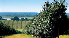 Countryside