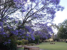 Showcasing Pittsworth and Surrounds
