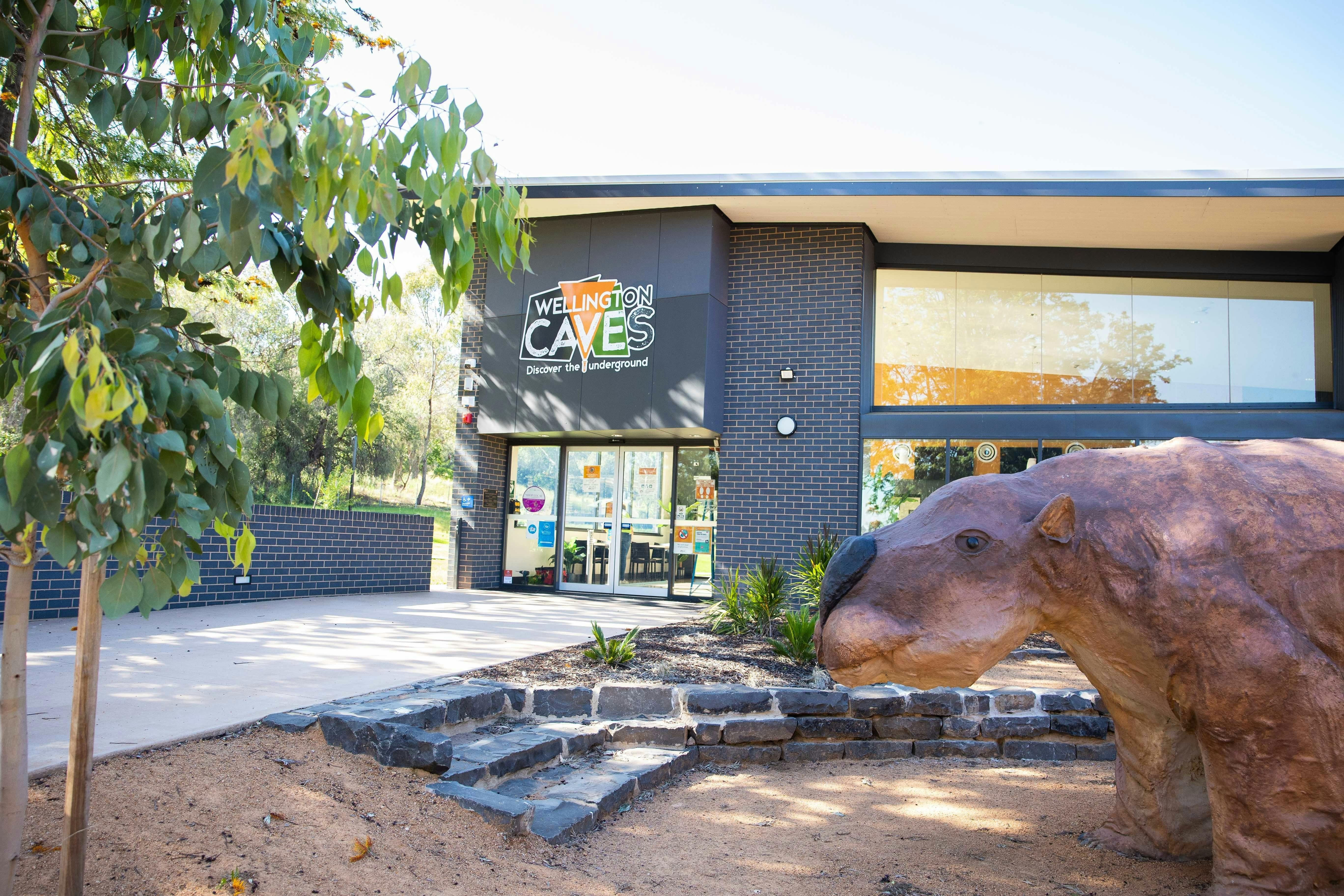 Wellington Caves