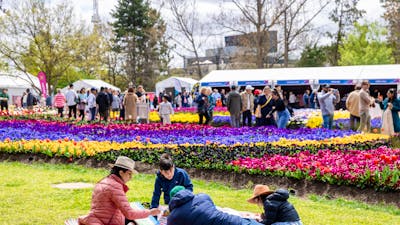 Picnic at Floriade