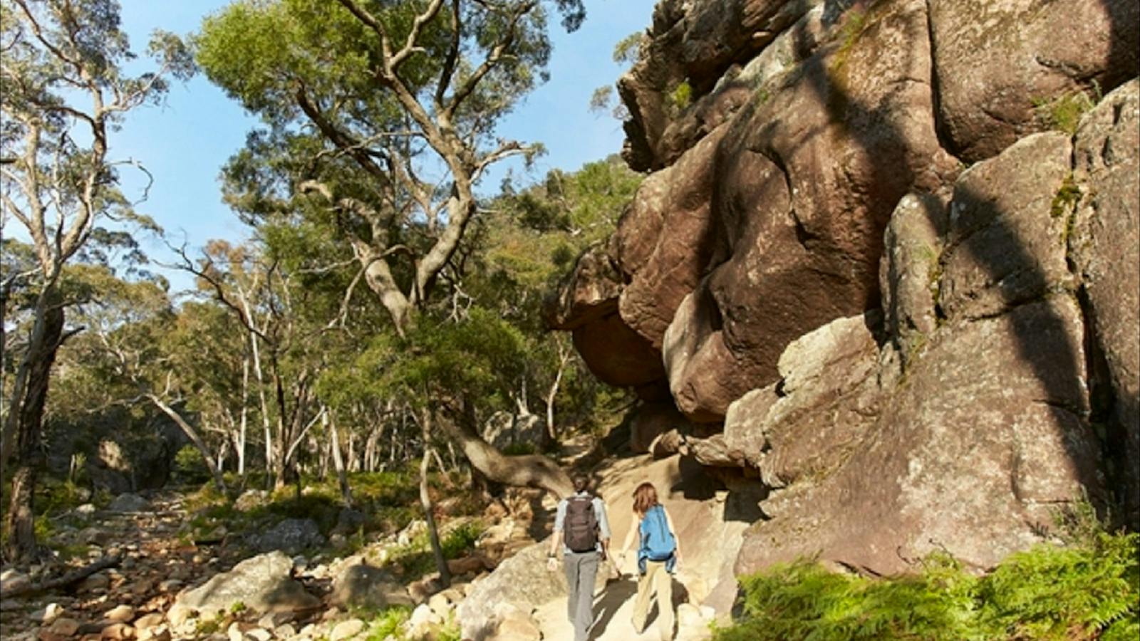 Grampians Landscape