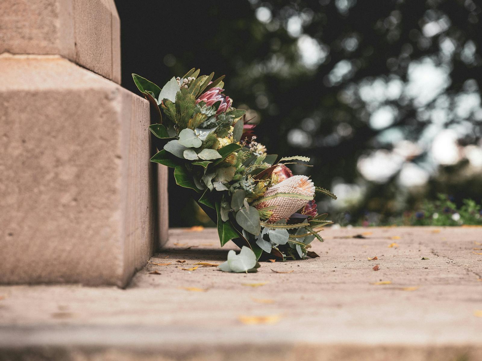 Image for Remembrance Day
