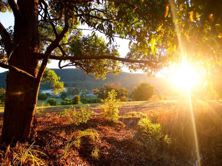 Chapel Sunrise