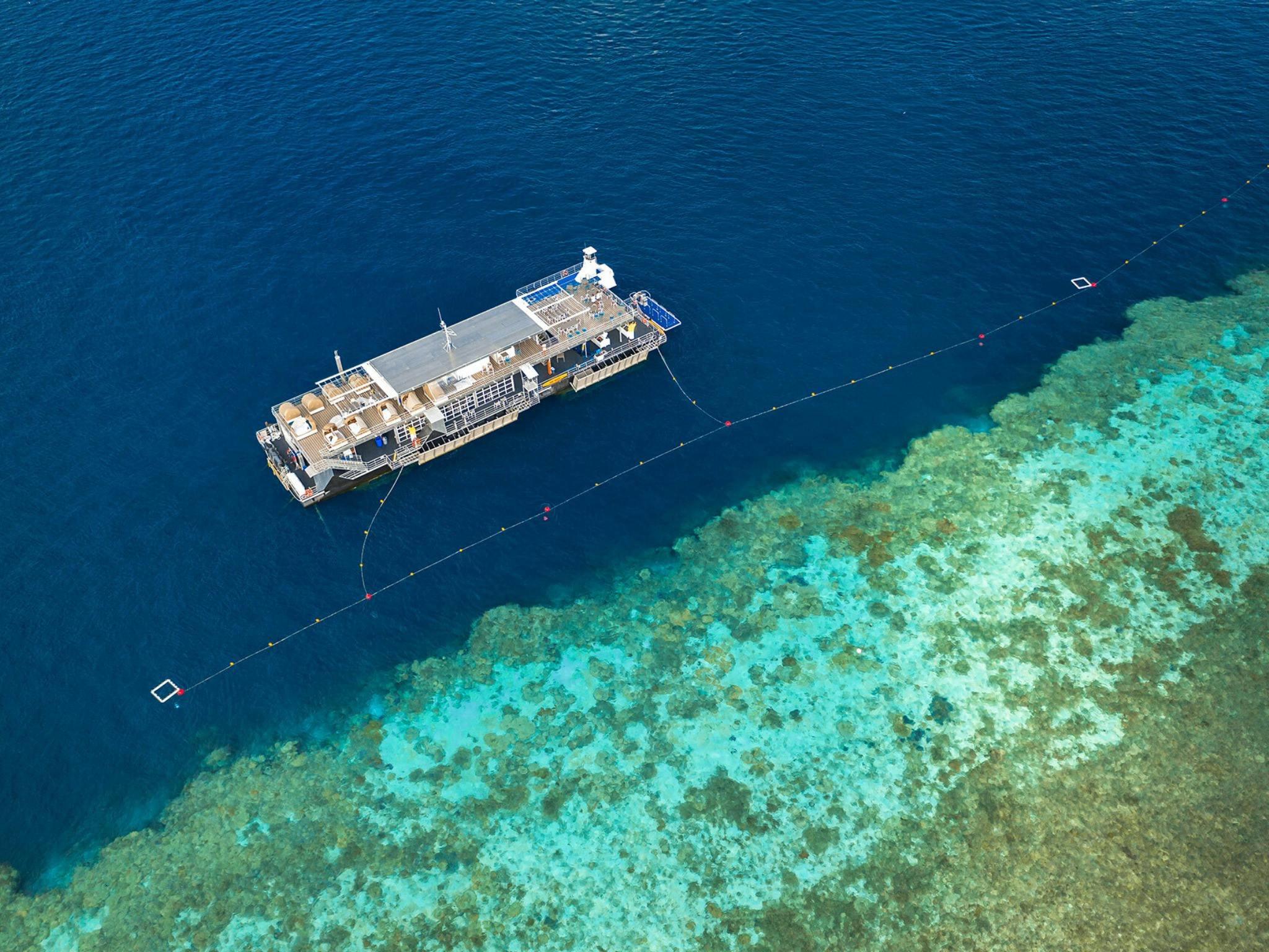 Reefworld Pontoon