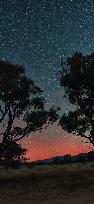 this shows a typical display of the aurora that can be captured with the camera in the ACT area