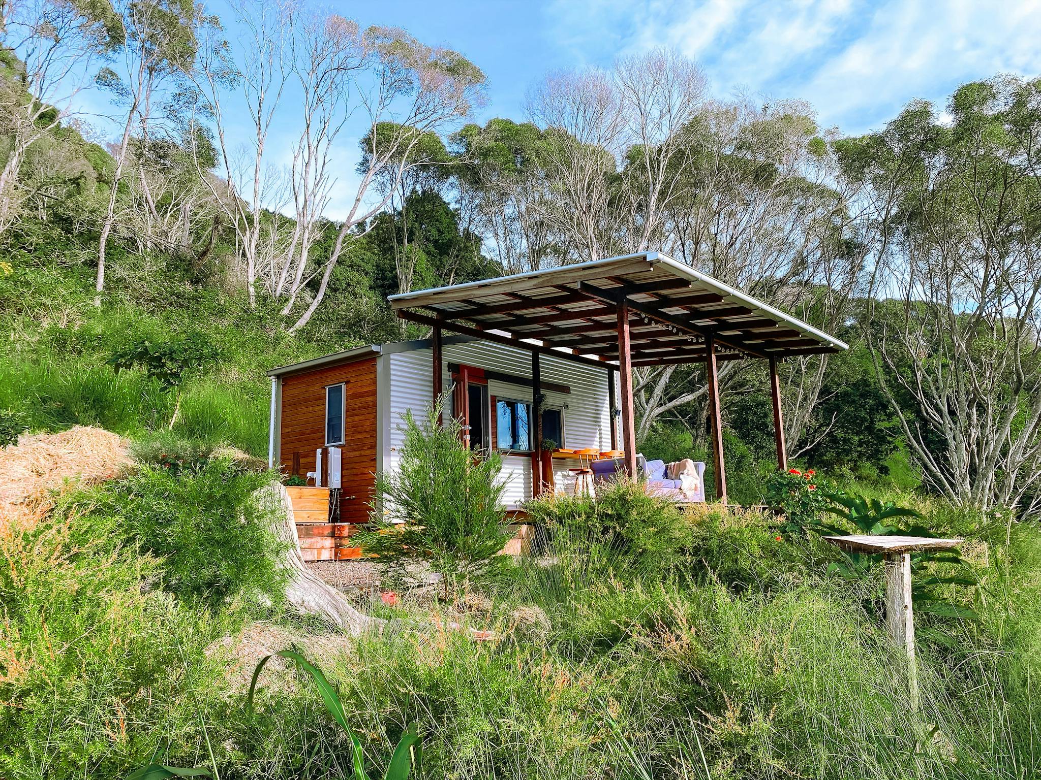 The Avocado Tree Farm